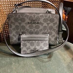 Metallic Coach Purse Set